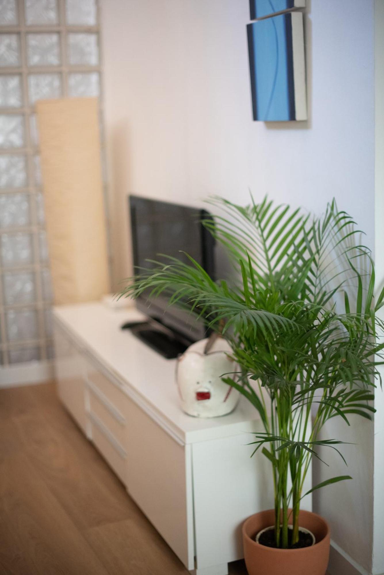 Cozy & Quiet Apartment In The Center Malaga Exterior photo
